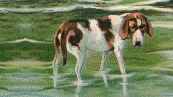 A painting of a dog paddling in the sea