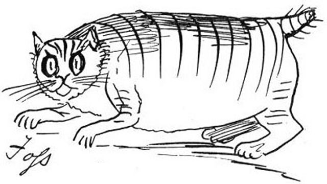 Edward Lear's Cat Foss