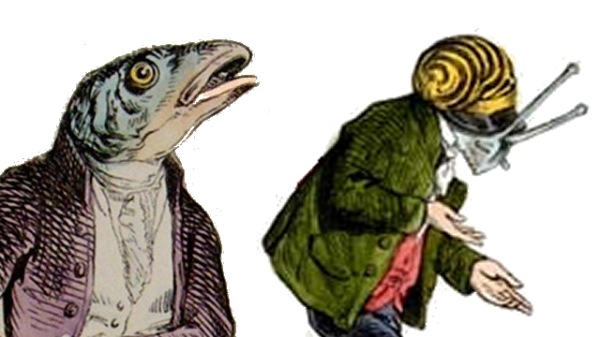 The Whiting And The Snail
