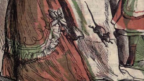 Mouse Running Down Lady's Gown