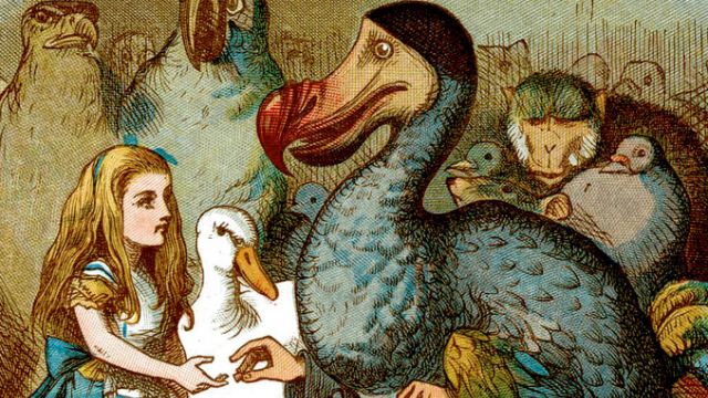 The Dodo From Alice in Wonderland