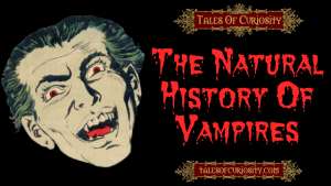 The Natural History Of Vampires