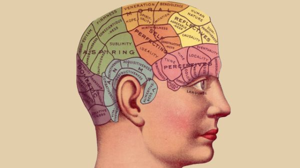 A Phrenology Chart