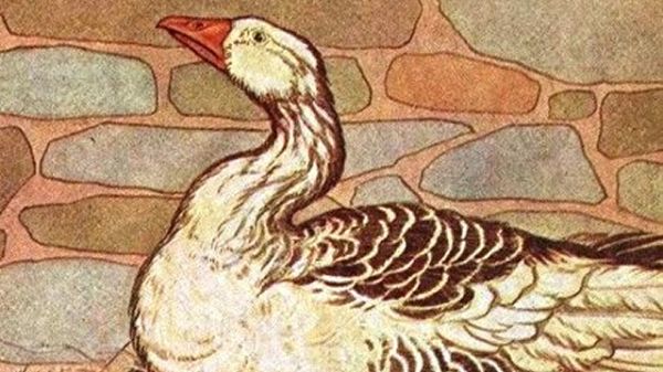 A goose drawn by Milo Winter